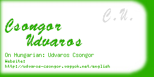 csongor udvaros business card